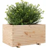 Image de vidaXL - Plantenbak - 90x60x49,5 - cm - massief - grenenhout