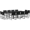 Image de vidaXL - 13-delige - Tuinset - met - kussens - poly - rattan - zwart