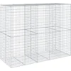 Image de vidaXL - Schanskorf - 250x100x200 - cm - gegalvaniseerd - ijzer - zilverkleurig