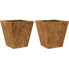 Image de vidaXL - Plantenbakken - 2 - st - 30x30x30 - cm - weervast - staal