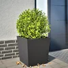 Image de vidaXL - Plantenbak - 50x50x50 - cm - staal - zwart