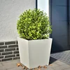 Image de vidaXL - Plantenbak - 50x50x50 - cm - staal - wit