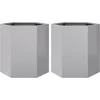 Image de vidaXL - Plantenbakken - 2 - st - zeshoek - 46x40x45 - cm - gegalvaniseerd - staal