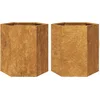 Image de vidaXL - Plantenbakken - 2 - st - zeshoek - 46x40x45 - cm - weervast - staal