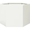 Image de vidaXL - Plantenbak - zeshoek - 69x60x45 - cm - staal - wit