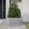 Image de vidaXL - Plantenbak - zeshoek - 104x90x45 - cm - gegalvaniseerd - staal