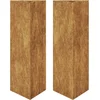 Image de vidaXL - Plantenbakken - 2 - st - Driehoekig - 30x26x75 - cm - weervast - staal