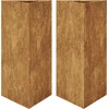 Image de vidaXL - Plantenbakken - 2 - st - driehoek - 40x40x75 - cm - weervast - staal