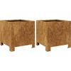 Image de vidaXL - Plantenbakken - 2 - st - 30x30x30 - cm - weervast - staal