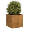 Image de vidaXL - Plantenbak - roestig - 40x40x40 - cm - weervast - staal