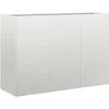 Image de vidaXL - Plantenbak - 120x40x80 - cm - roestvrij - staal