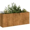Image de vidaXL - Plantenbak - roestig - 200x40x80 - cm - weervast - staal