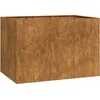 Image de vidaXL - Plantenbak - roestig - 120x80x80 - cm - weervast - staal