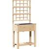 Image de vidaXL - Tuinbak - met - Trellis - en - Plank - 71x37x152 - cm - Massief - Vurenhout