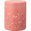 Image de Fresk Thermos Lunchbox 500 ml - RVS Voedselcontainer   BPA-vrij   Lekvrije dop   Thermosbeker   Food Jar tot 6 Uur Warm   Lunchpot - Voedselpot - Roze - Butterflies