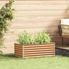 Image de vidaXL - Verhoogde - plantenbak - Lichtbruin - 98 - x - 50 - x - 36 - cm - Gegevens - staal
