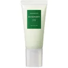 Image de Rosemary Scalp Scrub