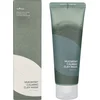 Image de Mugwort Calming Clay Mask