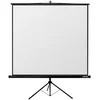 Image de Reflecta Canvas Crystal Line 160cm Projectiescherm