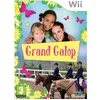 Image de GRAND GALOP / Jeu console Wii en occasion ou reconditionné