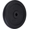 Image de Disque en fonte 25 KG ScSports