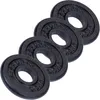 Image de Disques de musculation en fonte 2   20 kg 2 KG (4 x 0.5 KG) ScSports