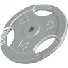 Image de Disque musculation fonte 30/31 mm ou 50/51 mm avec poignées Argent / 30mm / 15 KG Gorilla Sports