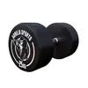 Image de Haltère rond en caoutchouc 25 KG (2x12,5 KG) Gorilla Sports