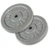 Image de Disque de poids en fonte 30/31 mm Argent / SET 2 x 15 KG Gorilla Sports
