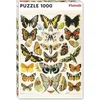 Image de 1000 stukjes puzzel kleurrijke vlinders en motten