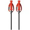 Image de Fischer Rd 13 Carbon Stokken Oranje 135 cm Man,Vrouw