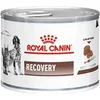 Image de Royal Canin Recovery 12 x 195 gram