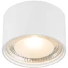 Image de Globo - plafonniere - Serena - wit - metaal - Ø 11cm - LED - 12007W