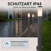 Image de Globo Padverlichting Boston antraciet met wit - 31588A