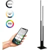 Image de EGLO Fraioli-Z Staande lamp - LED - Zwart