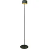 Image de EGLO Roccanova-L Staande lamp - Oplaadbaar (tot 22 uur licht) - Solar - 120 cm - Groen - Draadloos - Dimbaar - Binnen en Buiten