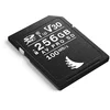 Image de Angelbird Technologies AV PRO SD V30 256 GB SDXC UHS-I (AVP256SDV30)