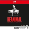 Image de REANIMAL - Collector's Edition - Nintendo Switch 2