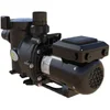Image de Zodiac E30iq 100 Pomp Met Variabel Toerental Zilver