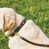 Image de Weatherbeeta Halsband Weatherbeeta Polo Hond Middenbruin-roze