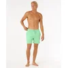 Image de 2025 Rip Curl Heren Daily 16" Volley Korte Broek - Neon Green