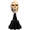 Image de Weta Workshop Lord of the Rings - Skull of Lurtz Minuatuur