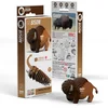 Image de EUGY 3D Puzzel - Bizon - Wilde Dieren - Duurzaam - Verzamel Ze Allemaal - 6 Jaar