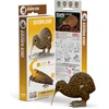 Image de EUGY 3D Puzzel - Kiwi - Vogels - Duurzaam - Verzamel Ze Allemaal - 6 Jaar