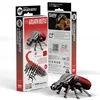Image de EUGY 3D Puzzel - Goliathkever - Insecten - Duurzaam - Verzamel Ze Allemaal - 6 Jaar