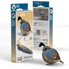 Image de EUGY 3D Puzzel - Kwartel - Vogels - Duurzaam - Verzamel Ze Allemaal - 6 Jaar