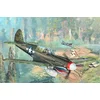 Image de Trumpeter 02212 P-40N War Hawk Bouwpakket Schaal 1:32