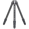 Image de Benro Tortoise TTOR35C statief