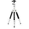 Image de Benro Roadtrip Pro BMRTPROASLV statief zilver