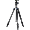 Image de Sirui Reporter RX-2 / RX-2214 statief + ST20
